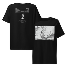 Women's Organic Cotton T-shirt | Big Bang