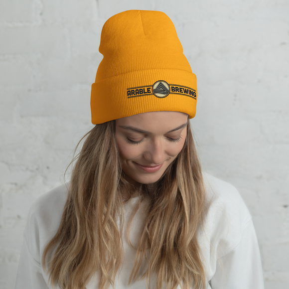 Embroidered Beanie Hat | Van Henion Beanie | Bout It Merch